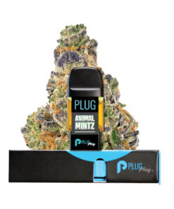 PLUGPLAY PLUG pod Animal Mintz 1g (DNA line)