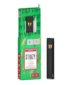 STIIIZY All-In-One disposable 1.0 g rechargeable AIO