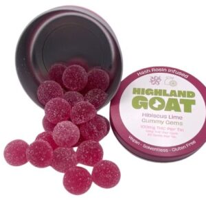 Gummy Gems | Hibiscus Lime | Hash Rosin Infused | 100mg